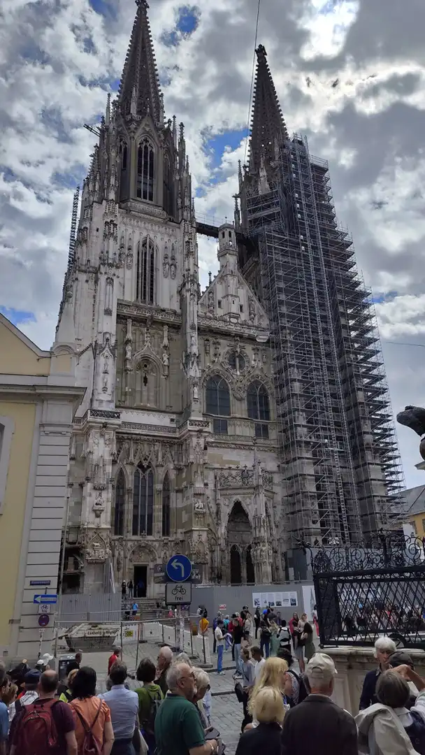 161_dom.png